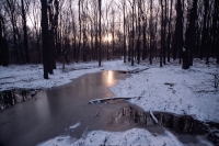 Sometimes when in the woods you can listen so hard for the faintest of sound that you do not hear the loud ones like the sun melting the snow and creating running water.