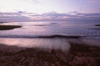 The sun trailed a yellow train across the sea and the breaking surf through a white spray. Kind of like flung rice on the shore.