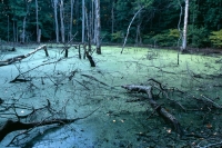 Things below the water affect things above the water. Example: a rock changes the flow and direction of the water. Red clay will change the color of the water and how the light reflects off of it. Look closely and you can see the effect that things below the water have on you.